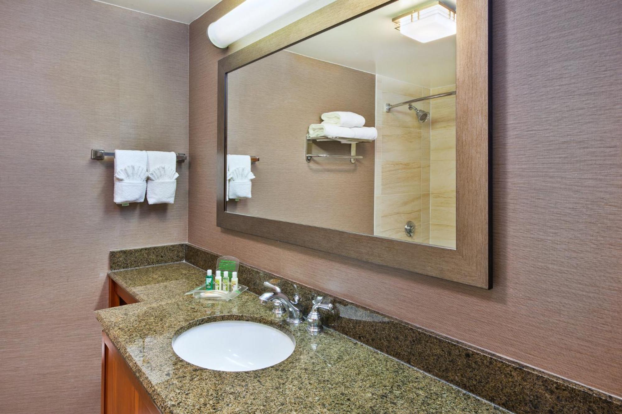 Holiday Inn Washington-Dulles International Airport By Ihg Sterling Extérieur photo